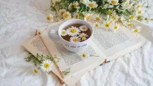 zdjęcie podglądowe tematu artykułu jakim jest Work-life Balance