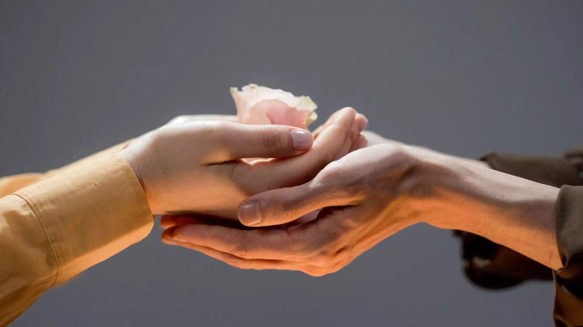 zdjęcie podglądowe tematu artykułu jakim jest empatia